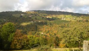 paysage verdoyant et paisible