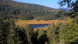 tourbiere des vosges