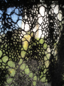 chale noir detail dentelle