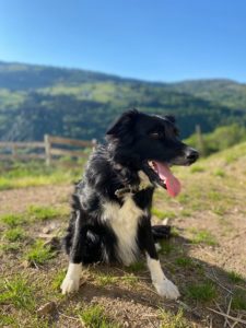 Meg